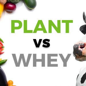 plant vs whey protein