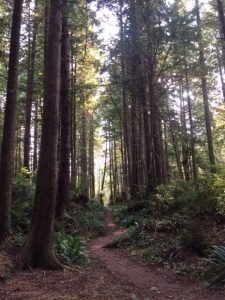 Hiking the West Coast Trail