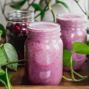 Wildberry Protein Smoothie Recipe